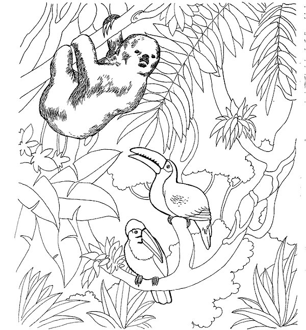 Plansa de colorat cu Gradina zoologica 3 15